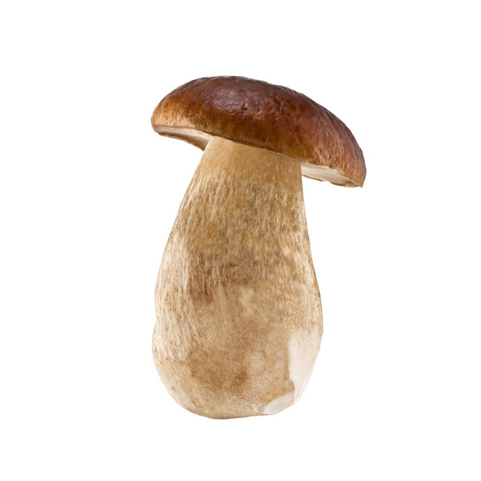 mushroom PIEROGI - salt + MUSTARD